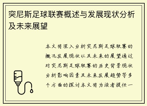 突尼斯足球联赛概述与发展现状分析及未来展望